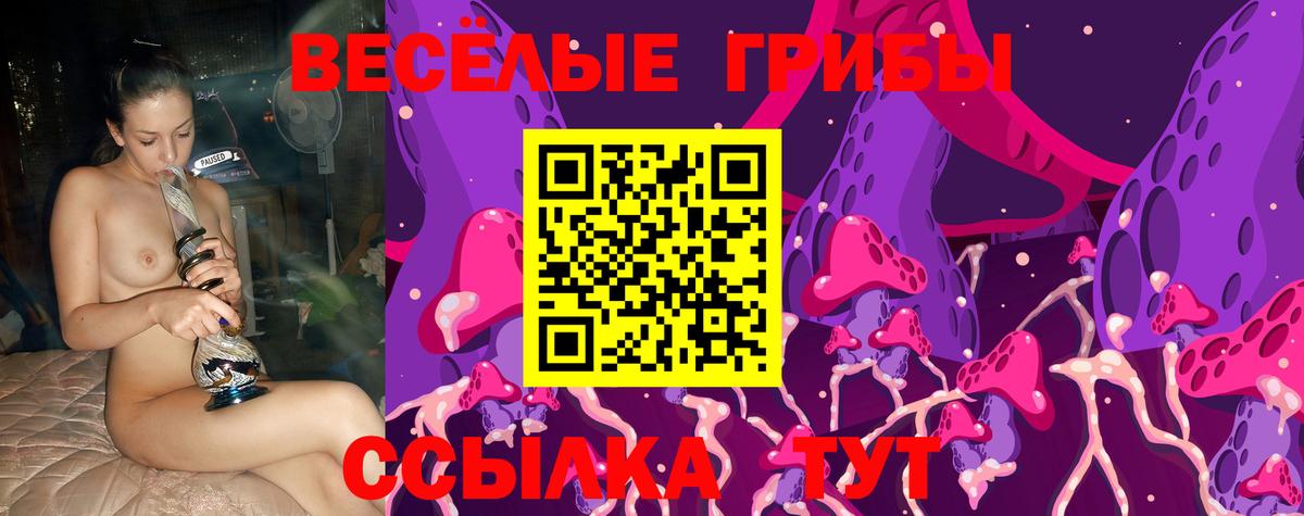 Гашиш Курск